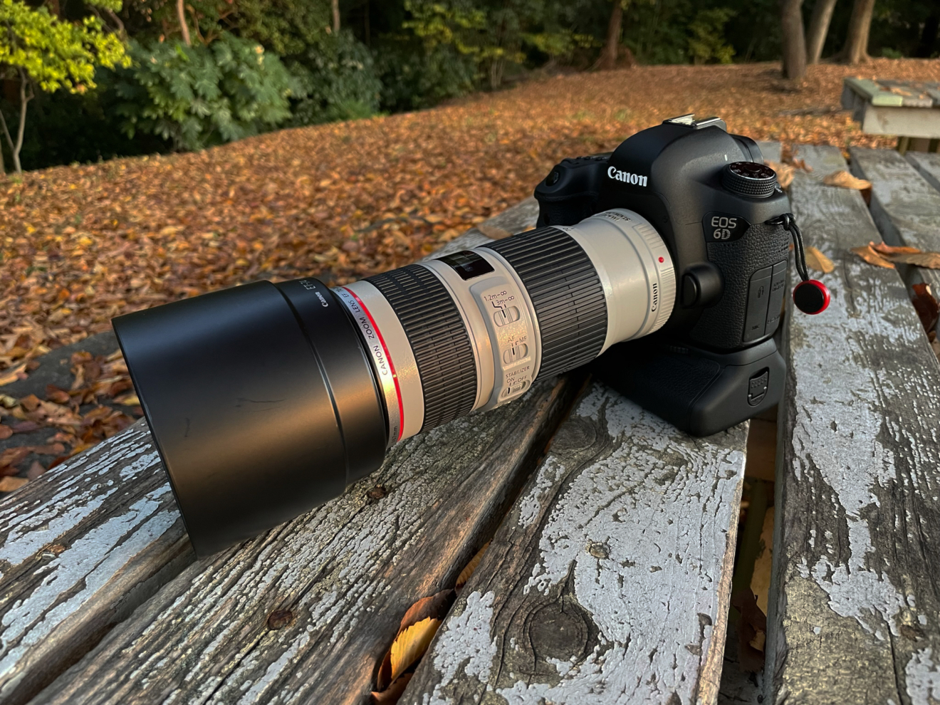 Canon EOS 6D ＋ BG-E13 ＋ EF70-200mm F4L IS USM